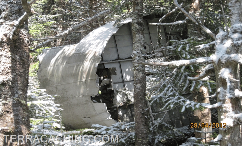 Airplane wreckage in forest